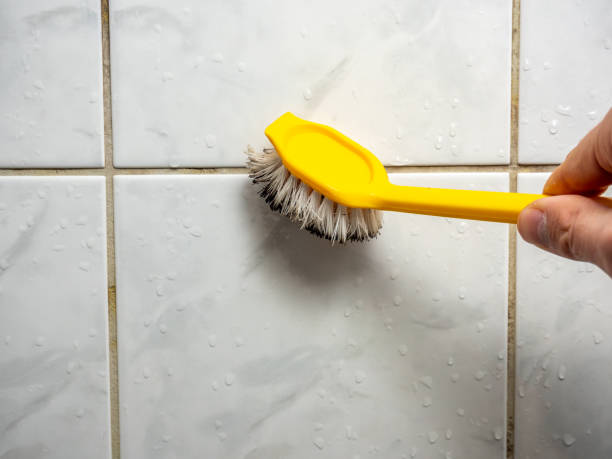 Best Mold Cleaning Services  in Caney, KS