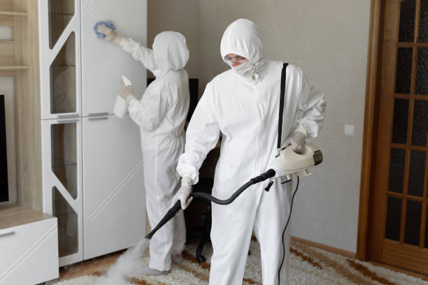 Best Mold Cleaning Services  in Caney, KS