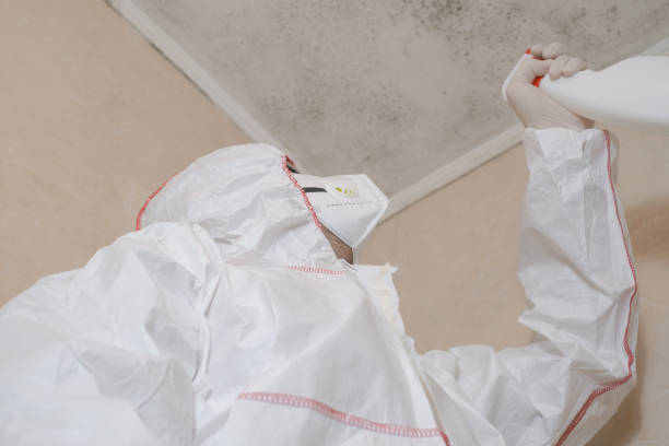 Best Commercial Mold Removal  in Caney, KS