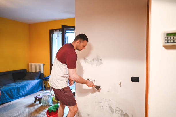 Best Fast Mold Removal  in Caney, KS